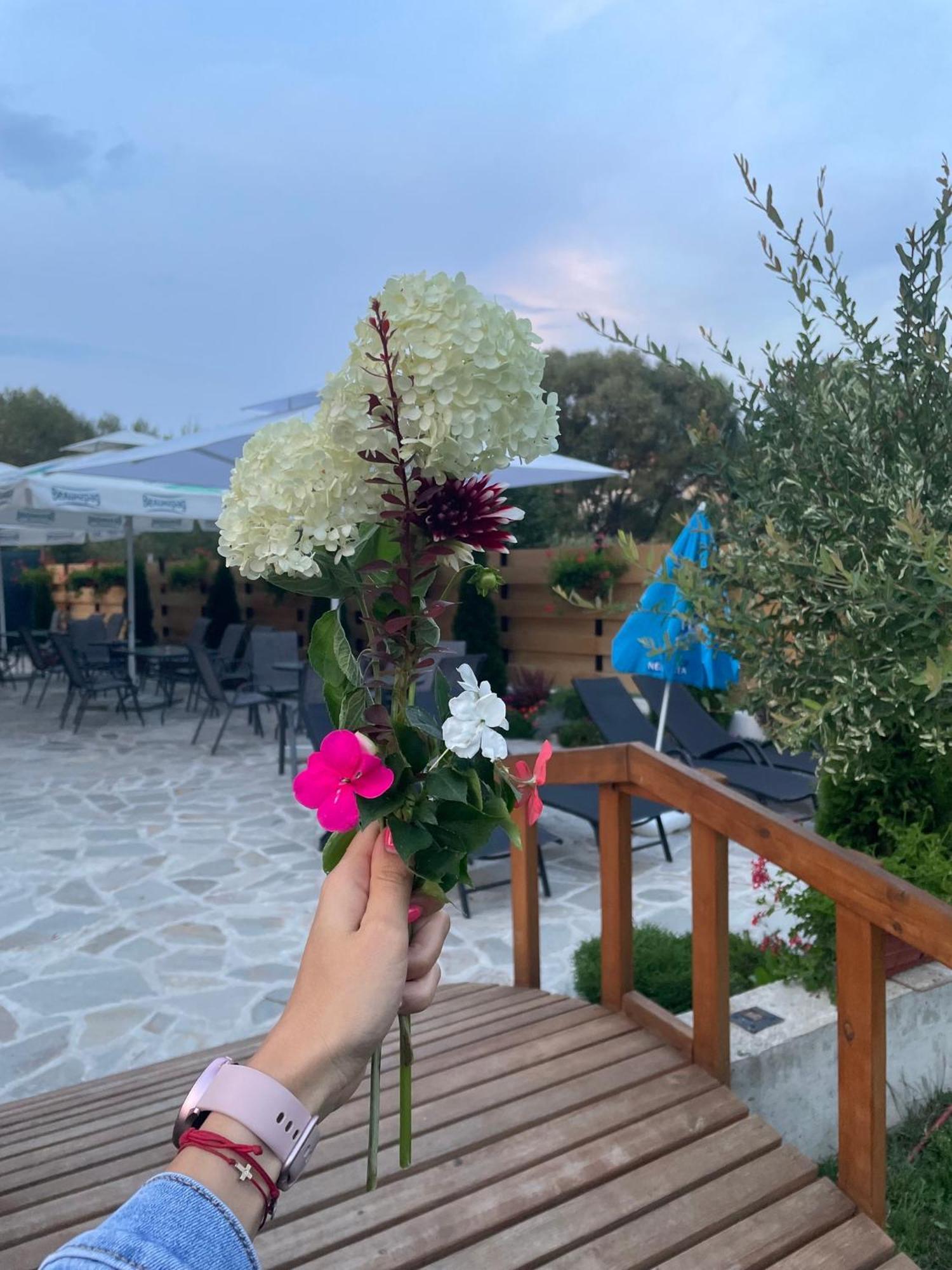 Villa Pino Βέλινγκραντ Εξωτερικό φωτογραφία